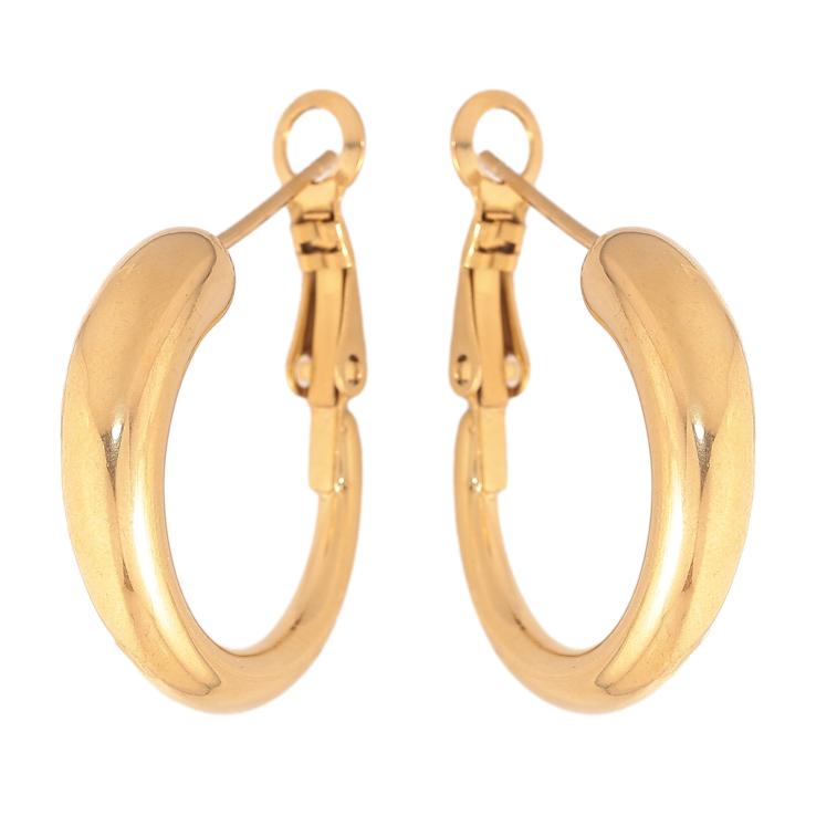 Сережки Xuping TTM Stainless Steel колір 14K італійський замок "Декоративні кільця" ø 2.3см - text_photo_image 23