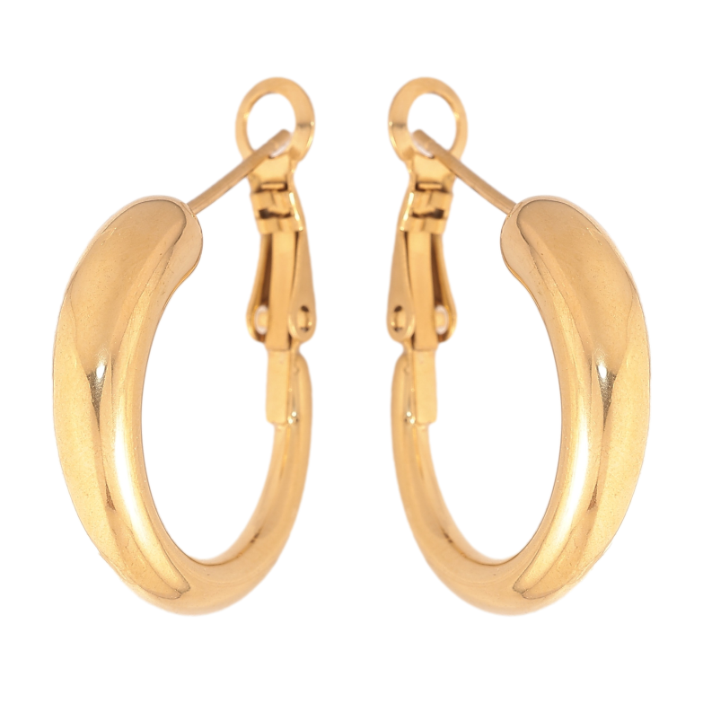Сережки Xuping TTM Stainless Steel колір 14K італійський замок "Декоративні кільця" ø 2.3см фото №1 Сережки Xuping TTM Stainless Steel колір 14K італійський замок "Декоративні кільця" ø 2.3см фото №1