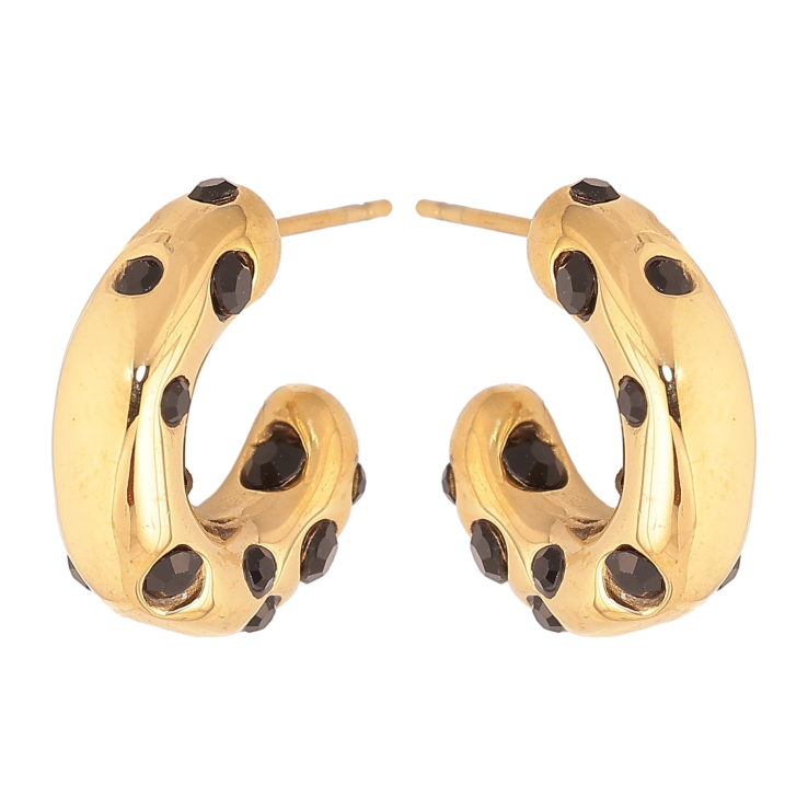 Сережки Нержавіюча сталь пусети "Дуги із вставками чорних кристалів" фото №17 Сережки Нержавіюча сталь пусети "Дуги із вставками чорних кристалів" фото №17