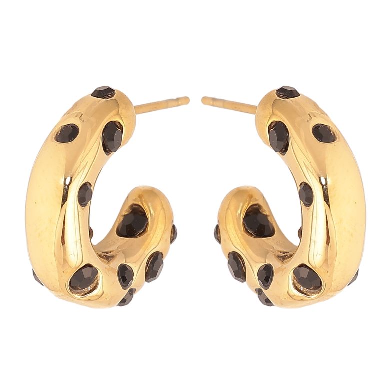 Сережки Нержавіюча сталь пусети "Дуги із вставками чорних кристалів" фото №1