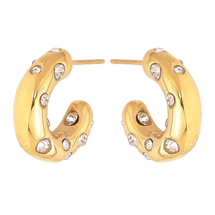 Сережки Нержавіюча сталь пусети "Дуги із вставками кристалів" фото №19 Сережки Нержавіюча сталь пусети "Дуги із вставками кристалів" фото №19