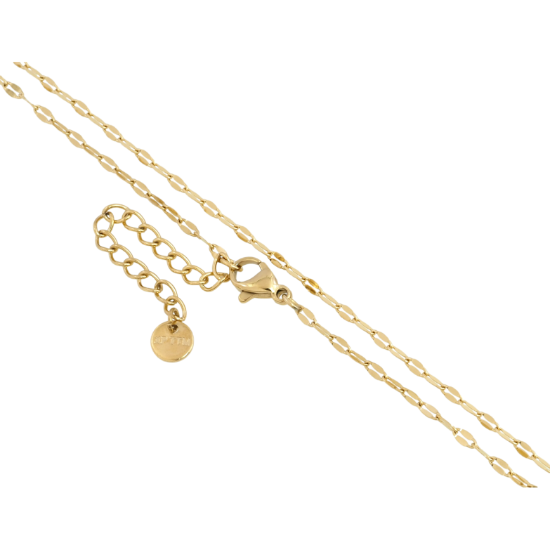 Ланцюжок Xuping ТТМ Stainless Steel колір 14К Плетіння Якірне довжина 46-51см х 2мм фото №1