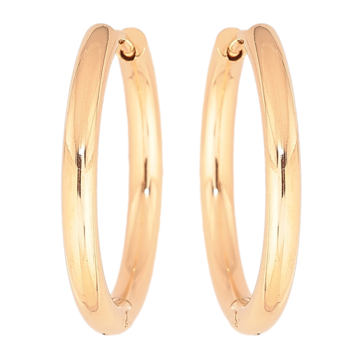 Серьги Xuping TTM Stainless Steel цвет 18K колечки Классика, шир. 2.5мм ø 23мм фото №22 Серьги Xuping TTM Stainless Steel цвет 18K колечки Классика, шир. 2.5мм ø 23мм фото №22