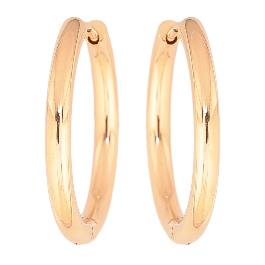 Сережки Xuping TTM Stainless Steel колір 18K колечка «Класика, шир. 2.5мм ø 23мм фото №1 Сережки Xuping TTM Stainless Steel колір 18K колечка «Класика, шир. 2.5мм ø 23мм фото №1