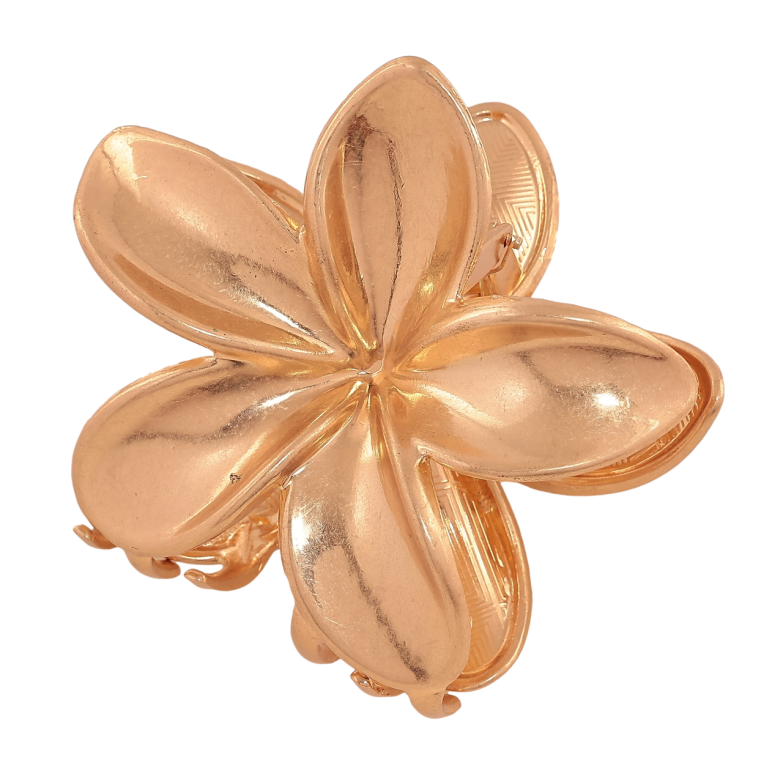 Краб металевий «Квітка» довжина 7.5см фото №1 Краб металевий «Квітка» довжина 7.5см фото №1